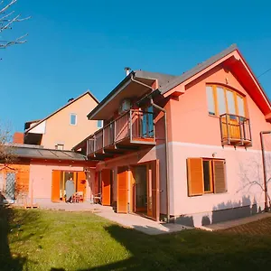 Auberge de jeunesse Buzahouse