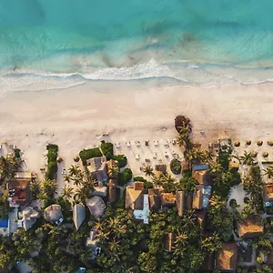 Casa Violeta *** Tulum
